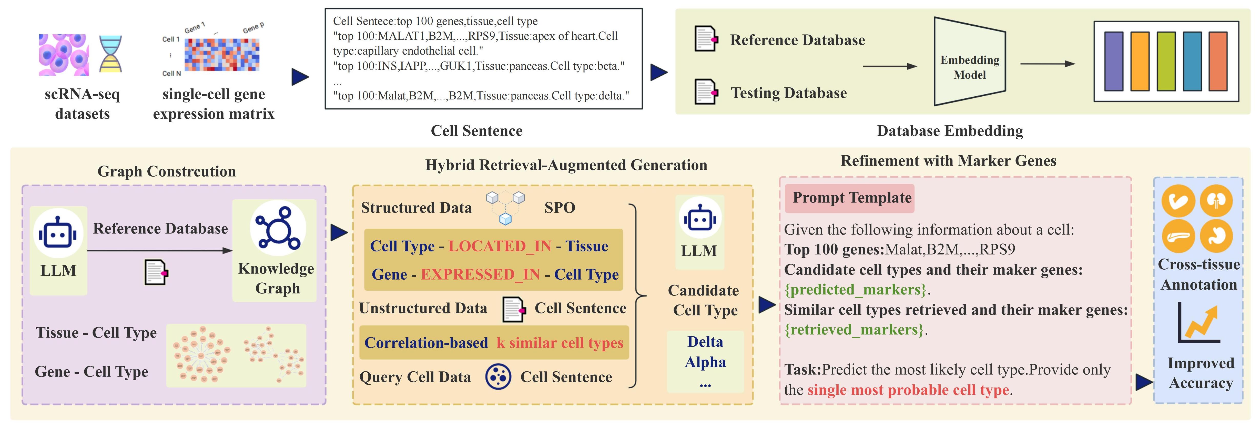 scRAG Single-Cell Annotation